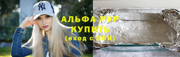 прущие грибы Новокубанск