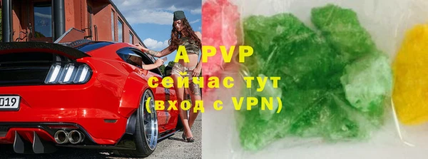 стафф Новозыбков