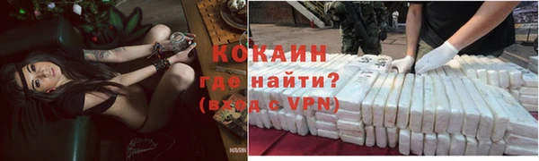стафф Новозыбков