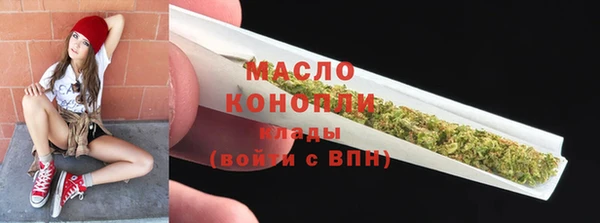 стафф Новозыбков