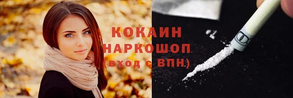 прущие грибы Новокубанск