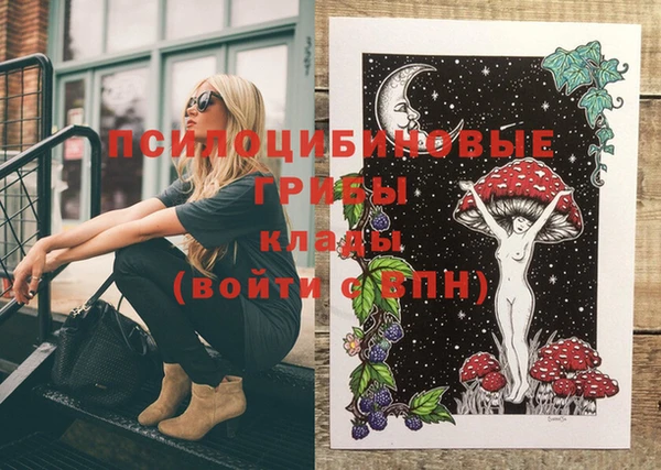 прущие грибы Новокубанск