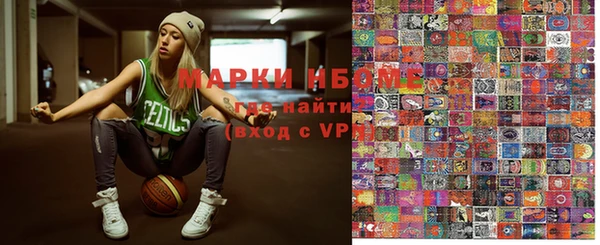 прущие грибы Новокубанск