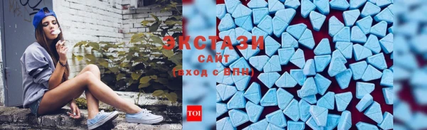 стафф Новозыбков