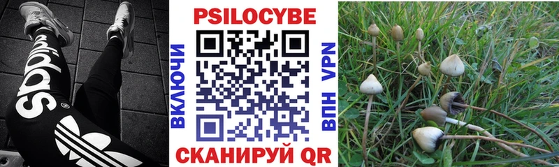 Галлюциногенные грибы мицелий  omg сайт  Нефтекумск  наркошоп 